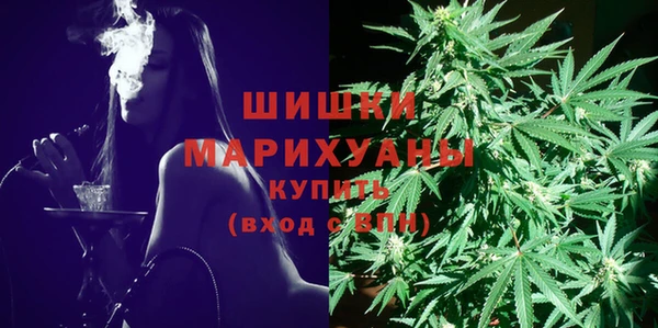 ECSTASY Сафоново