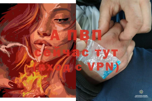 амф Надым