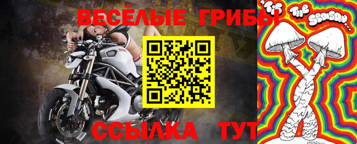 Псилоцибиновые грибы Psilocybe  Вход с VPN  что такое   Качканар 